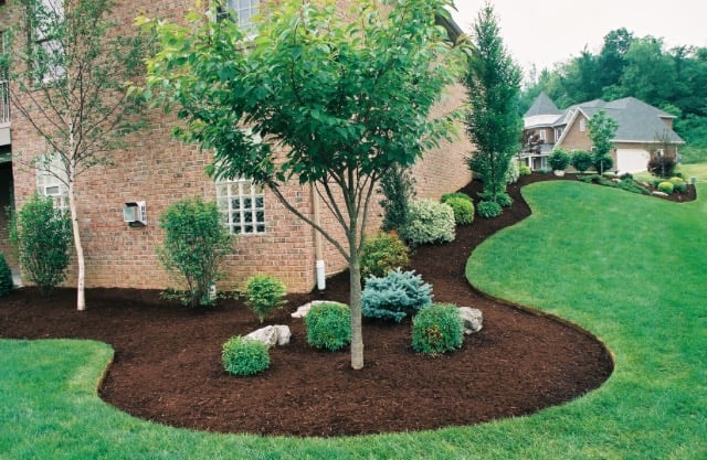 Logo for Mt Juliet Lawn Service